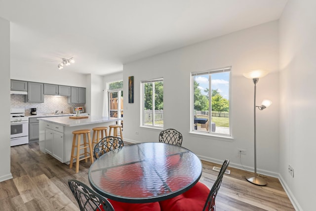 2812 Sun Valley Dr, Plainfield, IL 60586 - dining room with wood finished floors