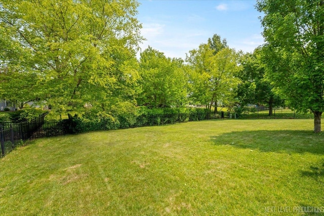 0S587 Grengs Ln, Geneva, IL 60134 - view of yard