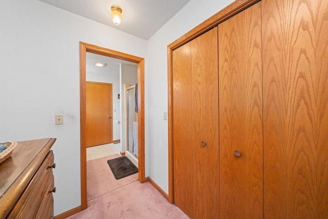2365 Richardson Rd, West Brooklyn, IL 61378 - corridor with light carpet and baseboards