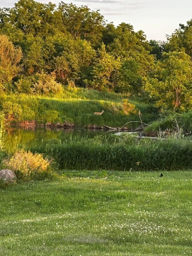 2365 Richardson Rd, West Brooklyn, IL 61378 - view of yard featuring a water view and a view of trees