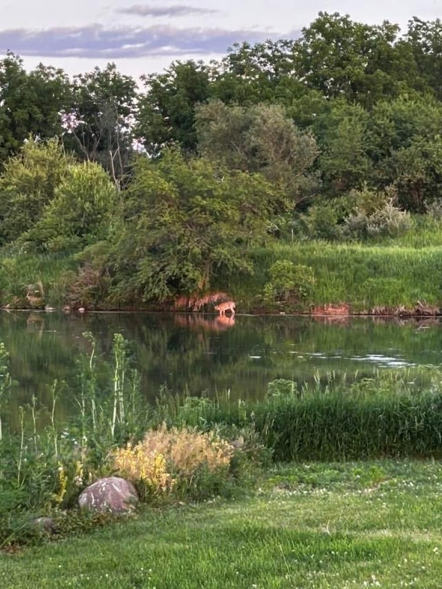 2365 Richardson Rd, West Brooklyn, IL 61378 - view of yard with a water view and a view of trees