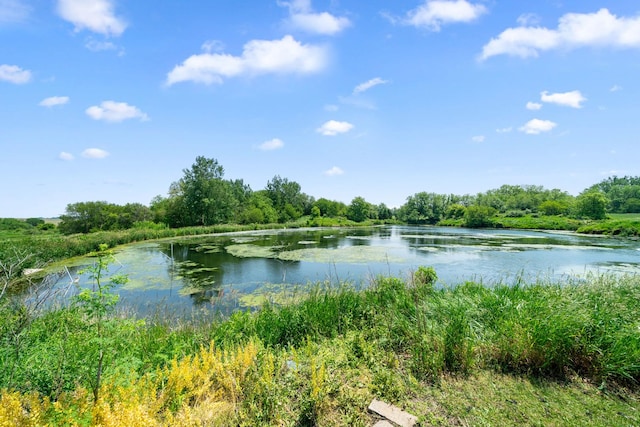 2365 Richardson Rd, West Brooklyn, IL 61378 - water view