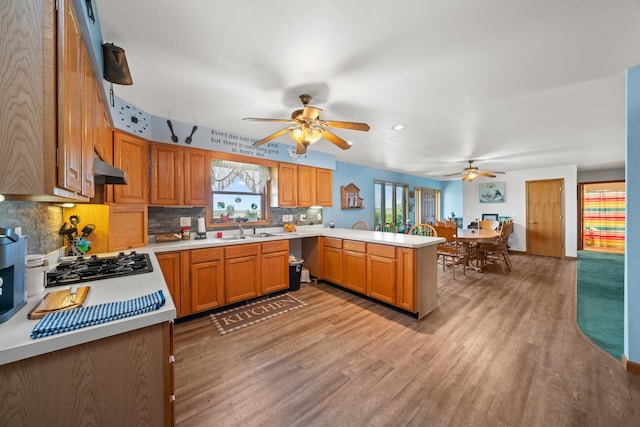 2365 Richardson Rd, West Brooklyn, IL 61378 - kitchen with a ceiling fan, a sink, a peninsula, and light countertops