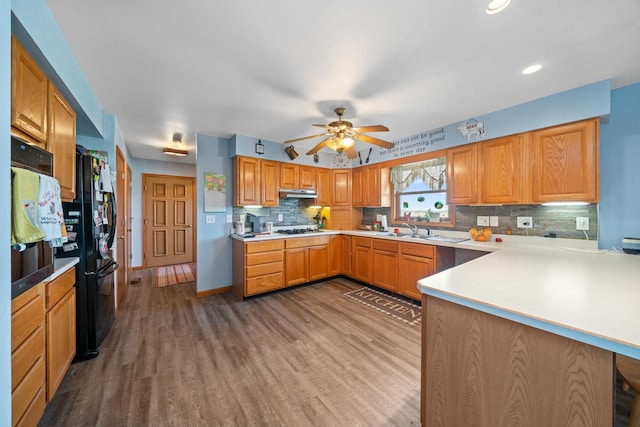 2365 Richardson Rd, West Brooklyn, IL 61378 - kitchen featuring wood finished floors, under cabinet range hood, tasteful backsplash, ceiling fan, and recessed lighting