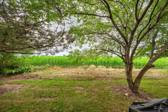 7015 Clearwater Dr Unit 7015, Plainfield, IL 60586 - view of yard featuring a water view