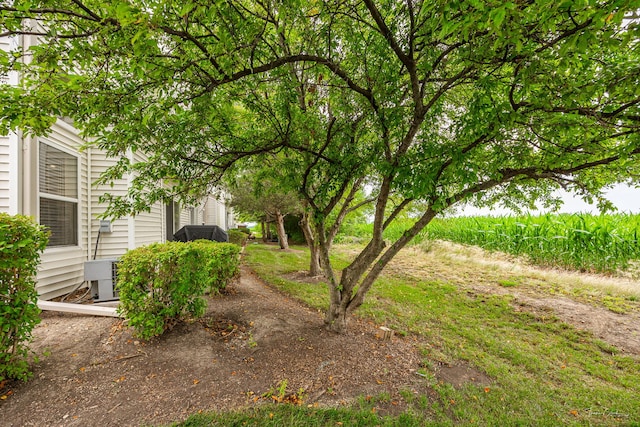 7015 Clearwater Dr Unit 7015, Plainfield, IL 60586 - view of yard