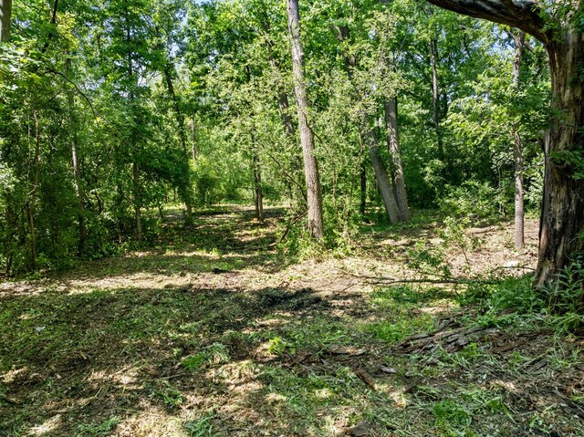 5703 Hickory Ln, Crystal Lake, IL 60014 - photo 7