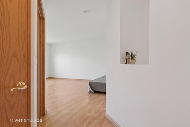 21359 W Sycamore Dr, Plainfield, IL 60544 - hallway with light wood-style flooring and baseboards