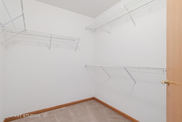 21359 W Sycamore Dr, Plainfield, IL 60544 - walk in closet with carpet