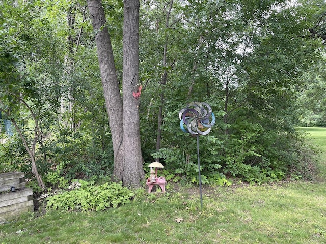 2500 Cherie Ln, Ottawa, IL 61350 - view of yard
