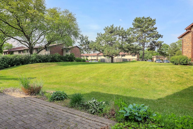 736 73rd St Unit 0, Downers Grove, IL 60516 - view of yard with a residential view