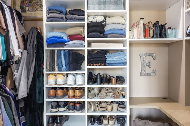1355 W Washington Blvd Unit 4A, Chicago, IL 60607 - view of walk in closet