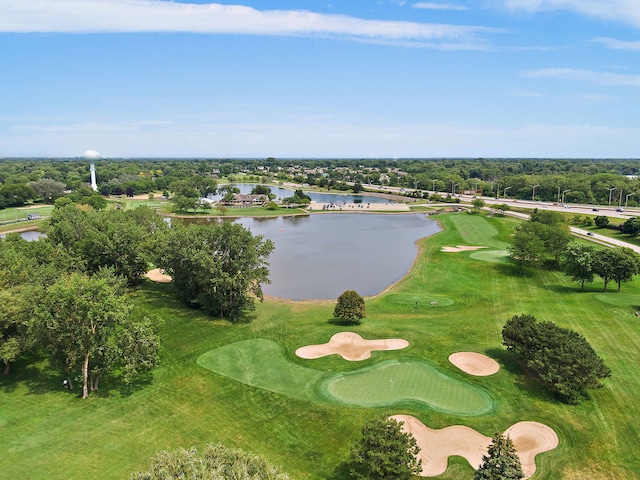 263 S Clubhouse Dr Unit 126, Palatine, IL 60074 - drone / aerial view of a large body of water and a tree filled landscape