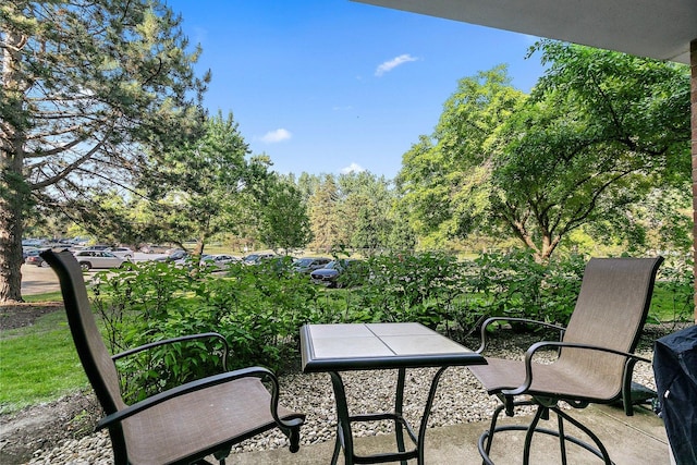 263 S Clubhouse Dr Unit 126, Palatine, IL 60074 - view of patio