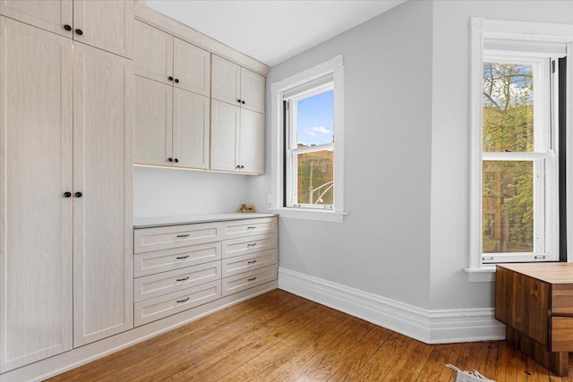 3828 N Wilton Ave, Chicago, IL 60613 - view of closet