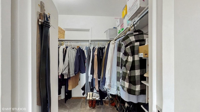 6833 N Kedzie Ave Unit 716, Chicago, IL 60645 - view of walk in closet