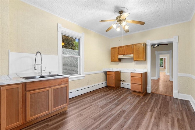 3357 S Oakley Ave, Chicago, IL 60608 - kitchen with under cabinet range hood, a baseboard heating unit, a sink, dark wood-style floors, and ceiling fan