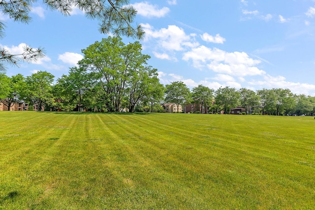 9900 Shady Ln Unit 3Ne, Orland Park, IL 60462 - view of green lawn