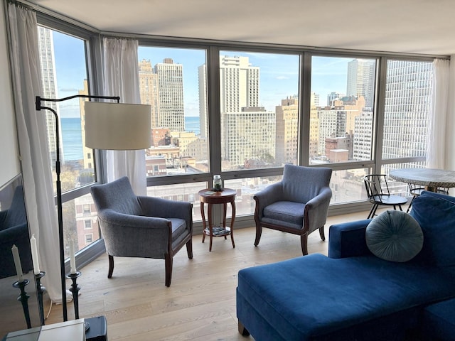 21 W Goethe St Unit 18D, Chicago, IL 60610 - living area featuring a skyline view, wood finished floors, and a wall of windows