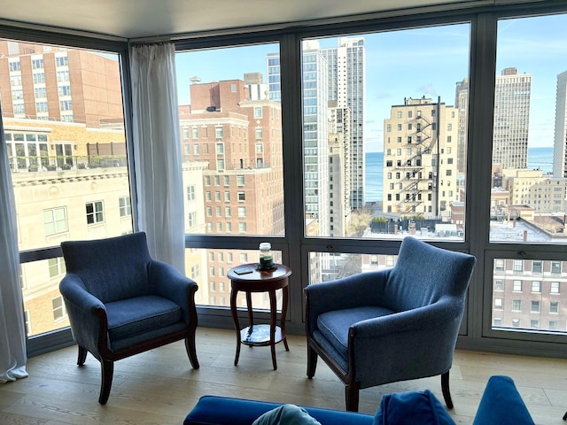 21 W Goethe St Unit 18D, Chicago, IL 60610 - living area with a city view, wood finished floors, and a wall of windows