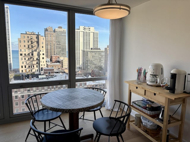 21 W Goethe St Unit 18D, Chicago, IL 60610 - dining area featuring plenty of natural light, a view of skyline, and wood finished floors