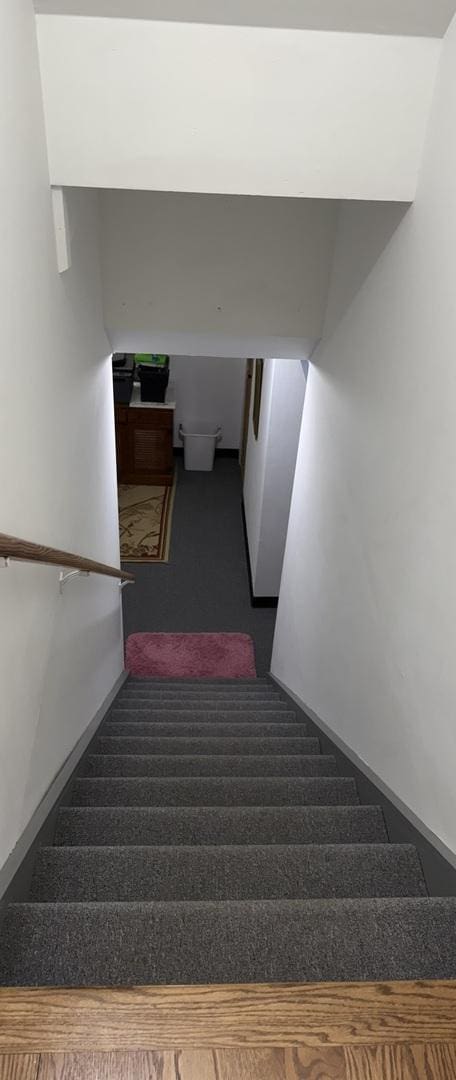 1742 Victor Ter, Gurnee, IL 60031 - staircase featuring carpet flooring and baseboards