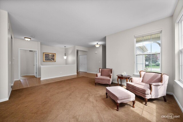 2924 Raleigh Ct, Naperville, IL 60564 - photo 8