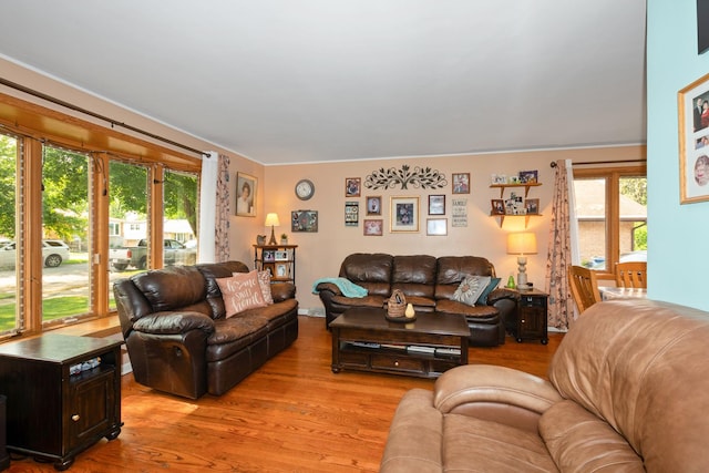 14447 Kolin Ave, Midlothian, IL 60445 - living room featuring healthy amount of natural light and light wood finished floors
