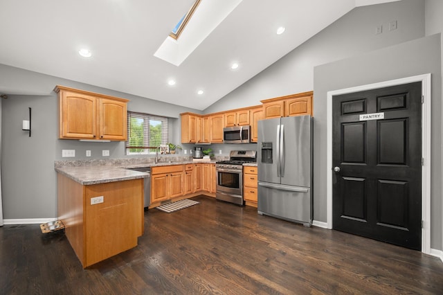 1125 Oxford Cir, Sycamore, IL 60178 - kitchen with stainless steel appliances, a skylight, dark wood-style floors, recessed lighting, and high vaulted ceiling
