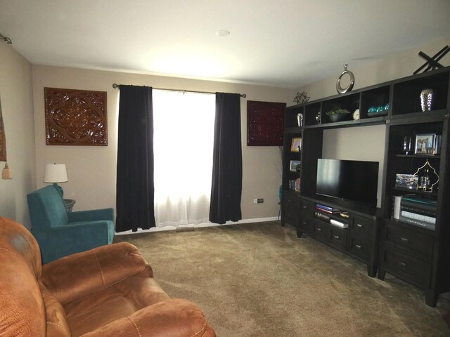 502 Silver Falls St, Joliet, IL 60431 - living area with dark colored carpet and baseboards