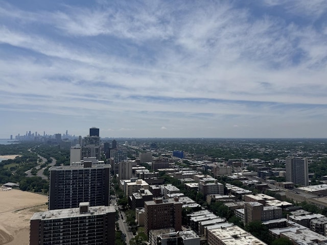 6007 N Sheridan Rd Unit 38G, Chicago, IL 60660 - view of city