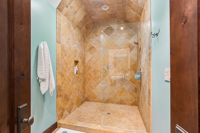 2500 Wahoo Ct, Morris, IL 60450 - full bath featuring a tile shower