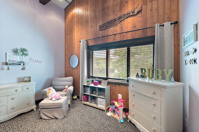 2500 Wahoo Ct, Morris, IL 60450 - playroom with wood walls, a towering ceiling, and carpet flooring