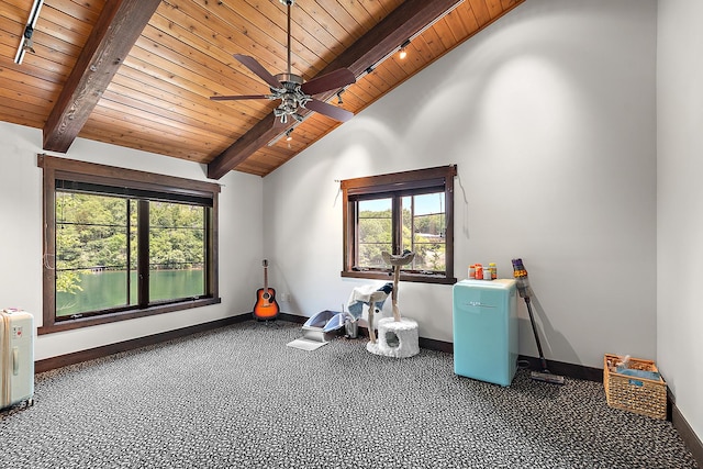 2500 Wahoo Ct, Morris, IL 60450 - misc room with wooden ceiling, plenty of natural light, ceiling fan, and carpet flooring