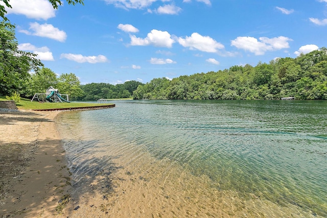 2500 Wahoo Ct, Morris, IL 60450 - water view featuring a heavily wooded area