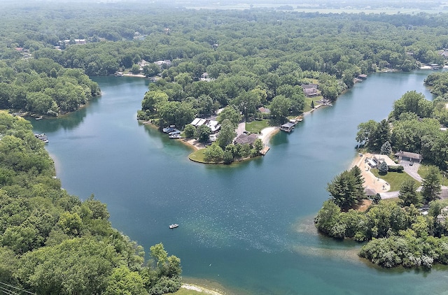 2500 Wahoo Ct, Morris, IL 60450 - aerial view of a large body of water and a forest