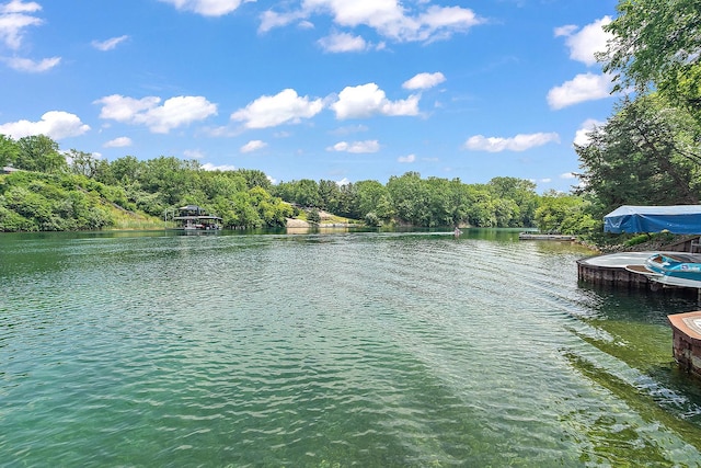 2500 Wahoo Ct, Morris, IL 60450 - water view featuring a boat dock and a forest