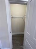 4514 S Honore St, Chicago, IL 60609 - view of spacious closet