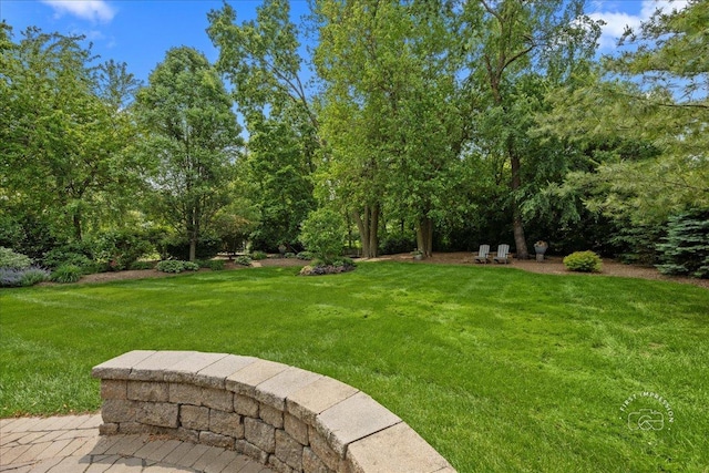 1088 Dunstan Rd, Geneva, IL 60134 - view of green lawn