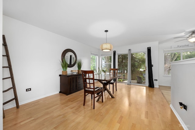 1910 Baldwin Way, Bolingbrook, IL 60490 - dining area featuring light wood-style flooring and a ceiling fan