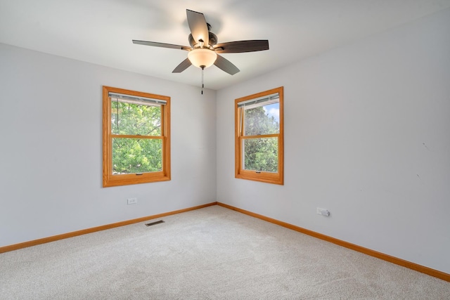 371 Whiteside Dr, Joliet, IL 60435 - photo 22