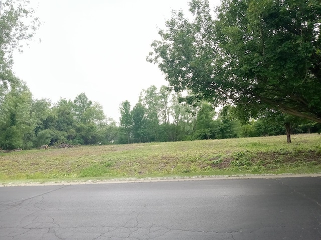 6867 Ellis Ave, Long Grove, IL 60047
