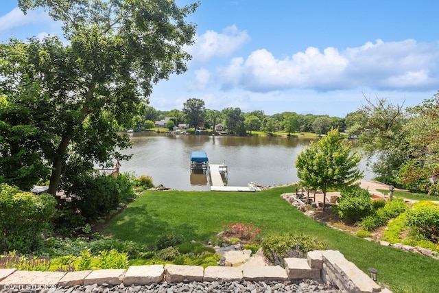6N142 Riverside Dr, Saint Charles, IL 60175 - water view with a dock