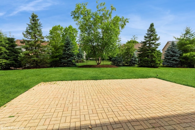 2368 River Hills Ln, Bolingbrook, IL 60490 - photo 27