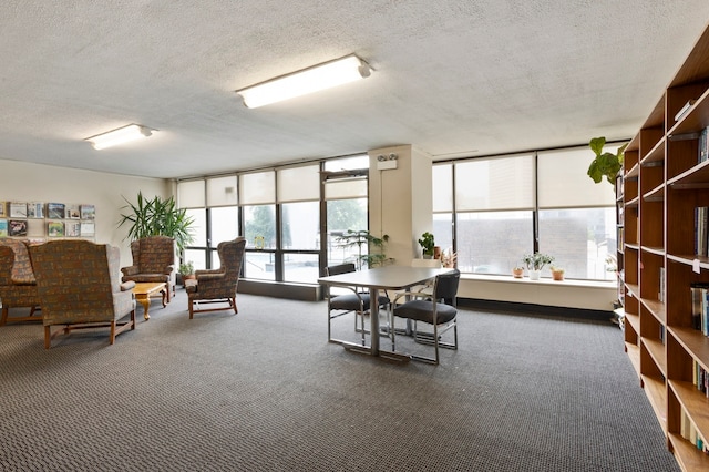 5455 N Sheridan Rd Unit 3409, Chicago, IL 60640 - interior space with a textured ceiling, plenty of natural light, and carpet flooring