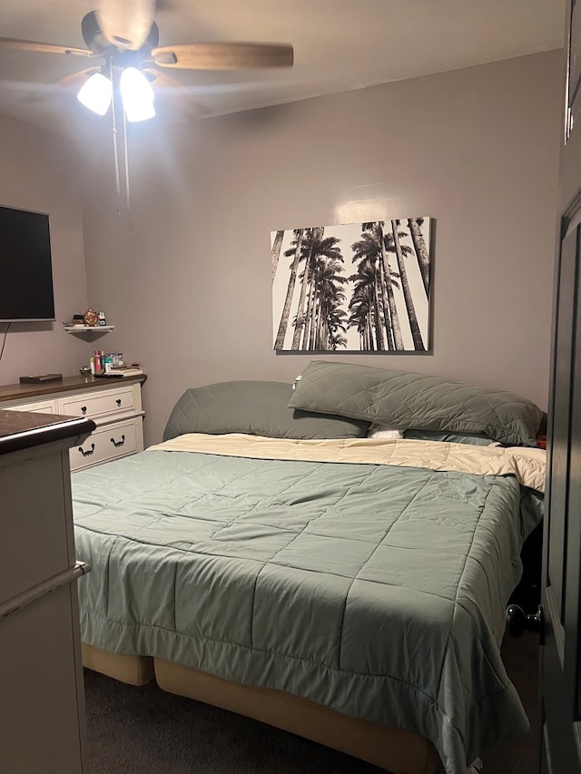 1901 Cora St, Crest Hill, IL 60403 - bedroom with carpet and ceiling fan