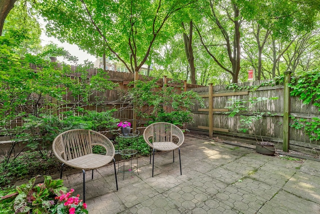 5400 S Hyde Park Blvd Unit 10C, Chicago, IL 60615 - fenced backyard with a patio