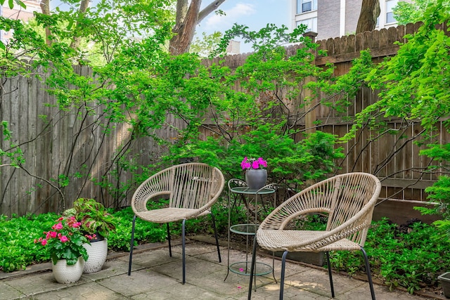 5400 S Hyde Park Blvd Unit 10C, Chicago, IL 60615 - fenced backyard featuring a patio