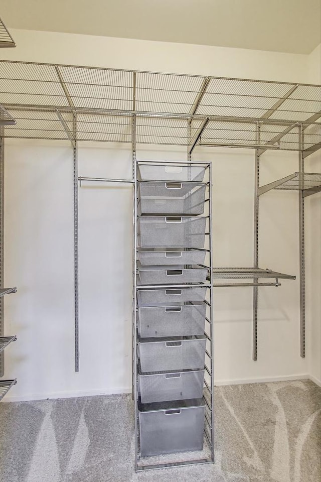 2031 W Evergreen Ave Unit 1W, Chicago, IL 60622 - spacious closet featuring carpet floors