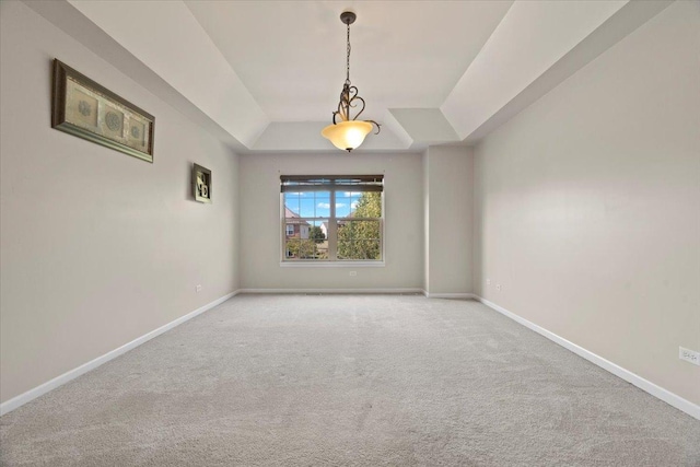 13613 Arborview Blvd, Plainfield, IL 60585 - unfurnished room with a tray ceiling and light colored carpet